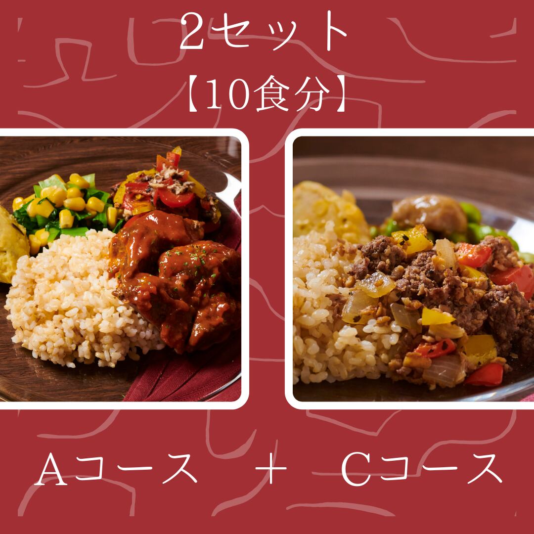 【冷凍栄養弁当・完全食・無添加】リハグルメAコース＋Cコース10食セット