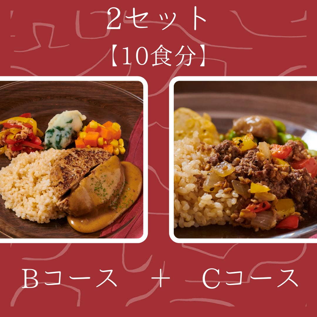 【冷凍栄養弁当・完全食・無添加】リハグルメBコース＋Cコース10食セット