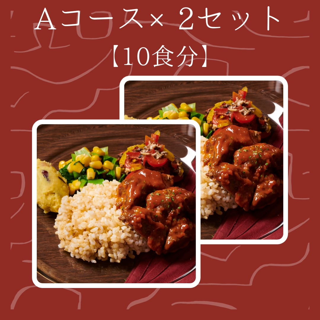 【冷凍栄養弁当・完全食・無添加】リハグルメAコース×2　10食セット