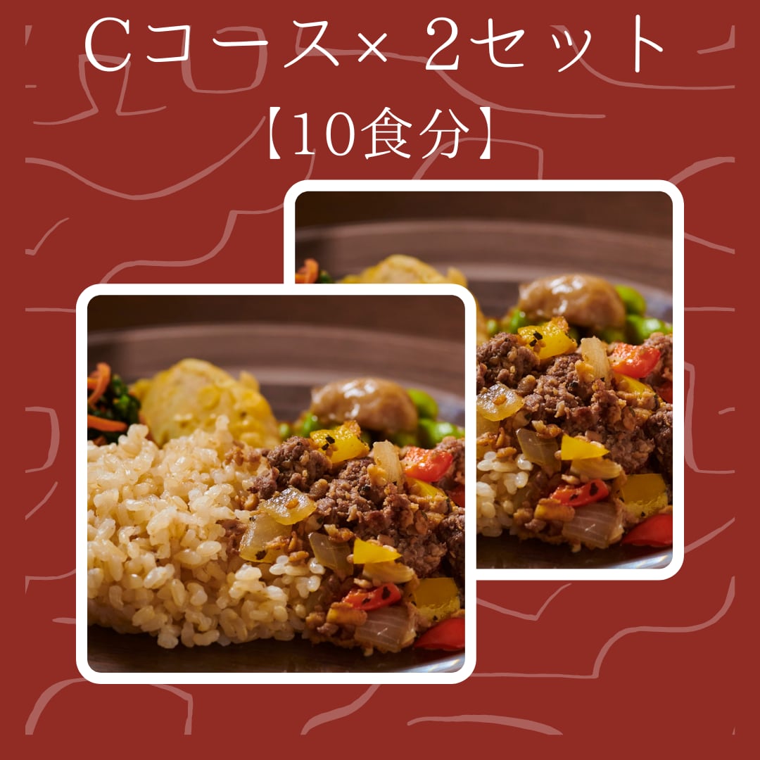【冷凍栄養弁当・完全食・無添加】リハグルメCコース×2　10食セット